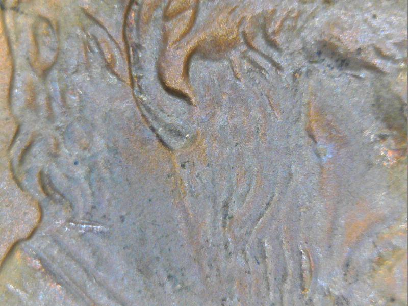 2000-Penny-Double-Ear-Almost-A-Match-Of-Vista-1997-Earlobe?