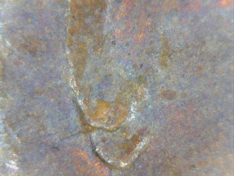 1979--Penny-Is-MD-Or-What-I-Mean-The-Ear?
