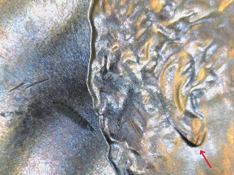 2015-Penny-Possible-Double-Ear?