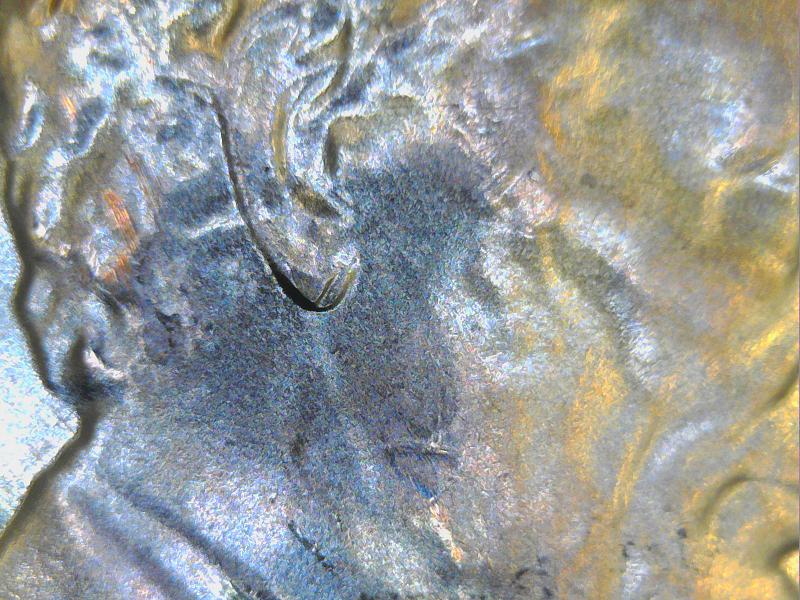 2015-Penny-Possible-Double-Ear?