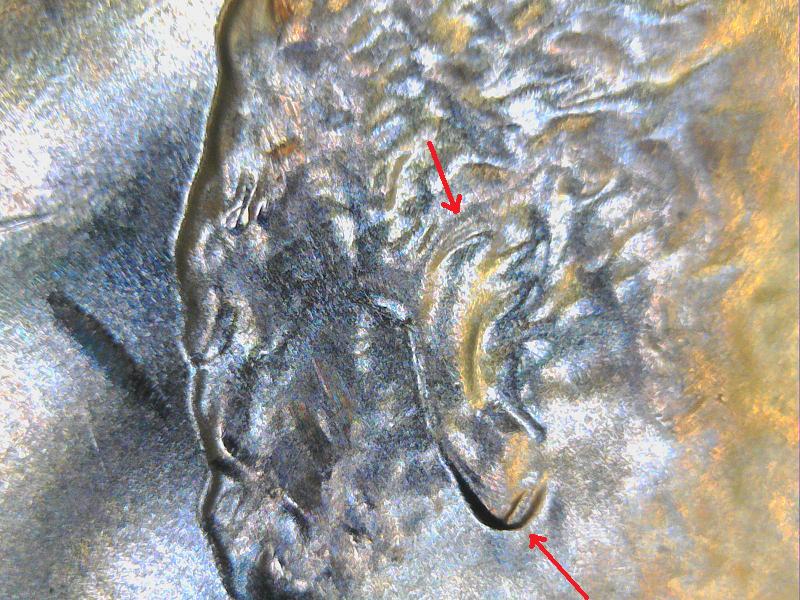 2015-Penny-Possible-Double-Ear?