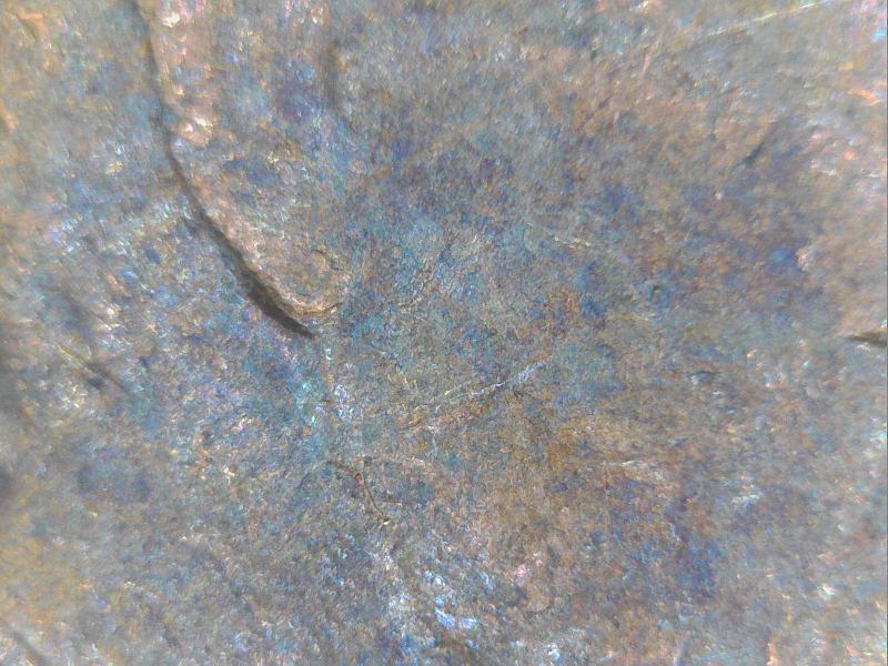 1982-D-Penny-DDO-001?-Against-Vista.