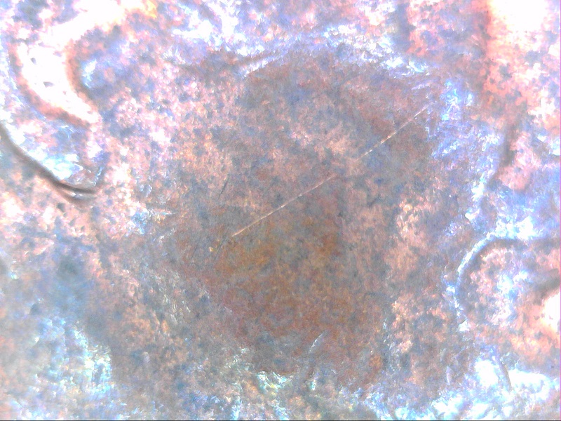 1983-P-Penny-Possible-Double-Ear?