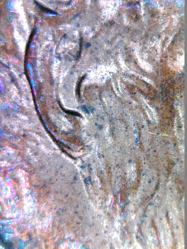 2000-P-Penny---Is-This-Doubled-Ear?