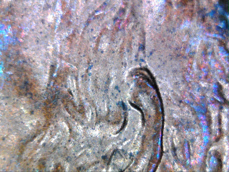 2000-P-Penny---Is-This-Doubled-Ear?