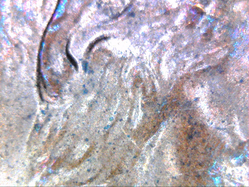 2000-P-Penny---Is-This-Doubled-Ear?