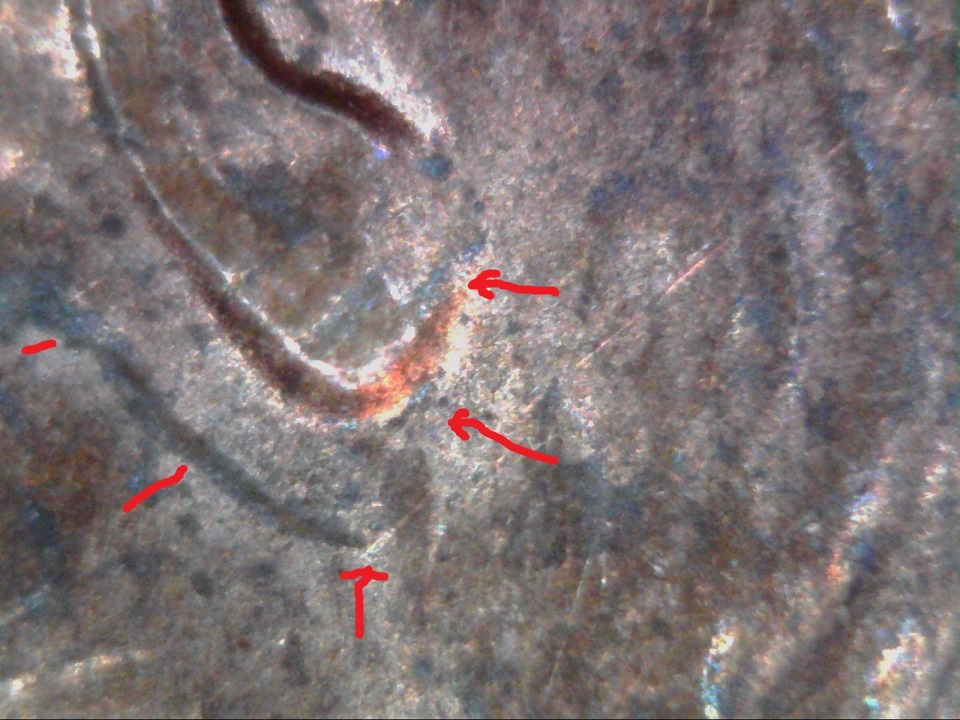 2005-P-Penny-Is-This-Doubled-Ear,-Thank-You