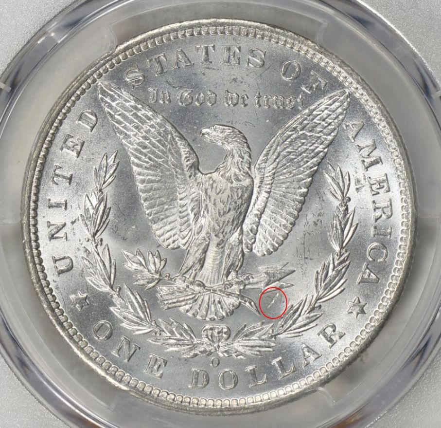 1885-O-Morgan---You-Vs-PCGS