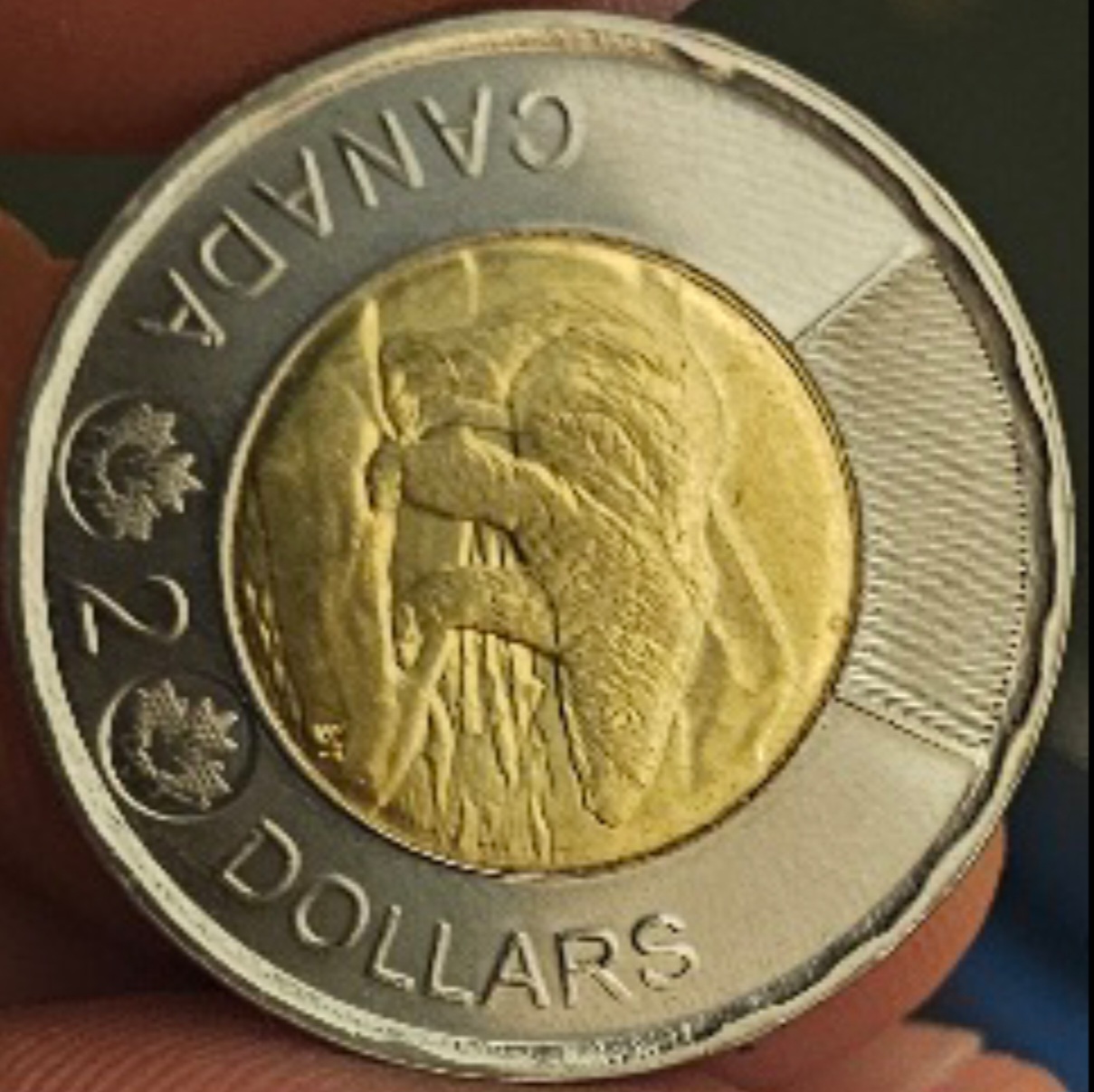 2024-Toonie---Cog-Like-Imprint?