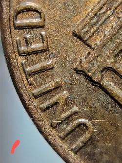 1983-Nmm/P-DDO-/-DDR-WDDO-13