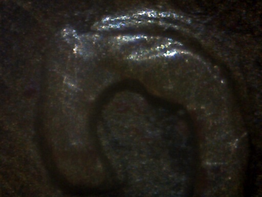 1920-P-Lincoln-Cent-Possible-DDO-Date