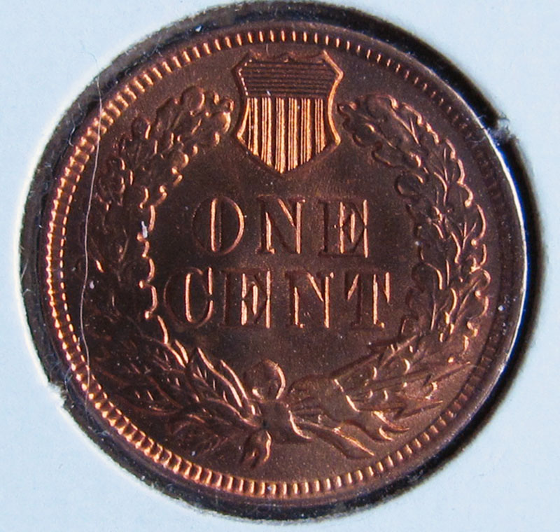 1899-Indian-Head-Cent---The-First-Coin-I-Ever-Bought