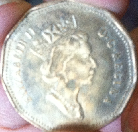 Check-Out-My-Treasured-Hopefully-Fake-Loonie!
