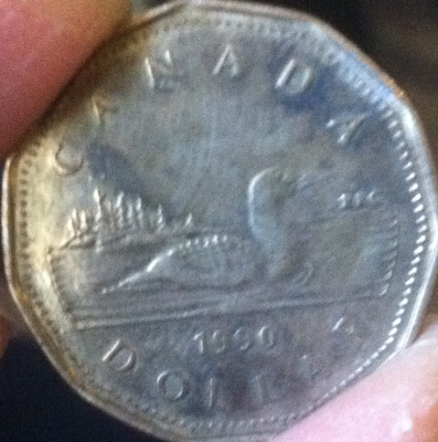Check-Out-My-Treasured-Hopefully-Fake-Loonie!