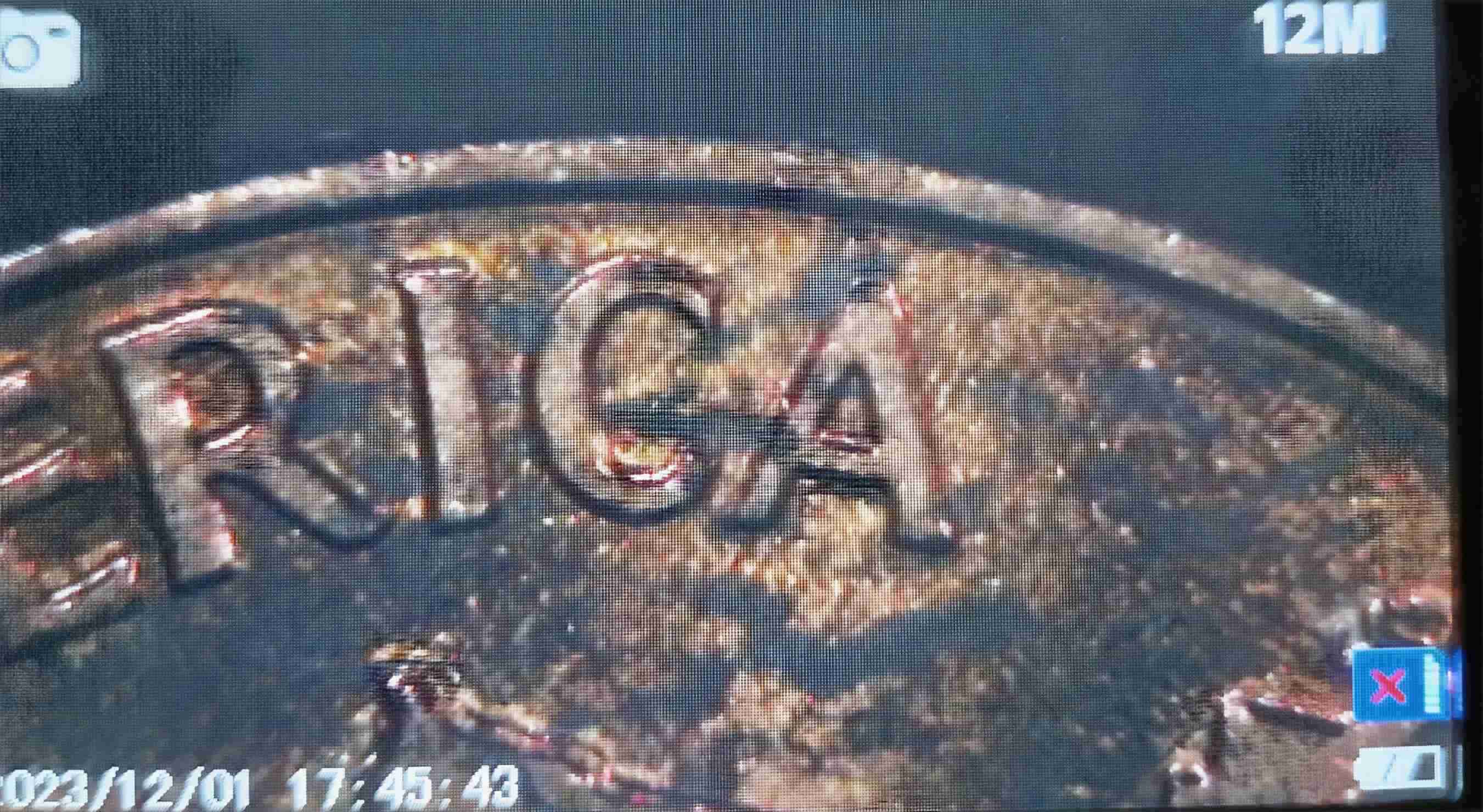 1966-Lincoln-Cent-DDR-Am-I-Correct?-Being-A-Relatively-New-Variety