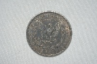 One-Last-Morgan-Dollar-Grade-Please