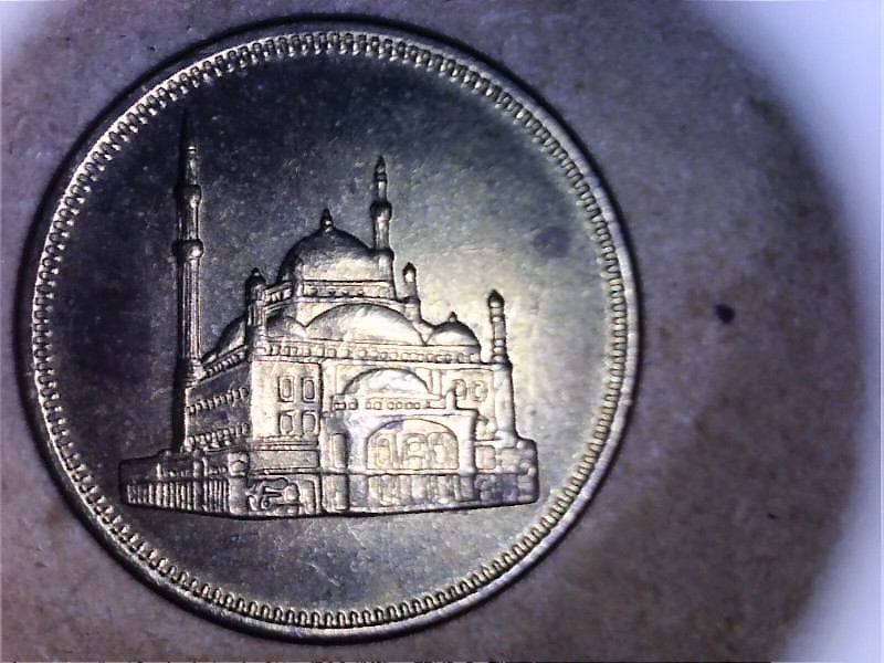 Please-Help-Identify