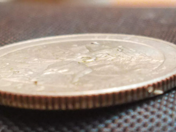 2012-Denali-Park-Quarter-With-2-Die-Chips.