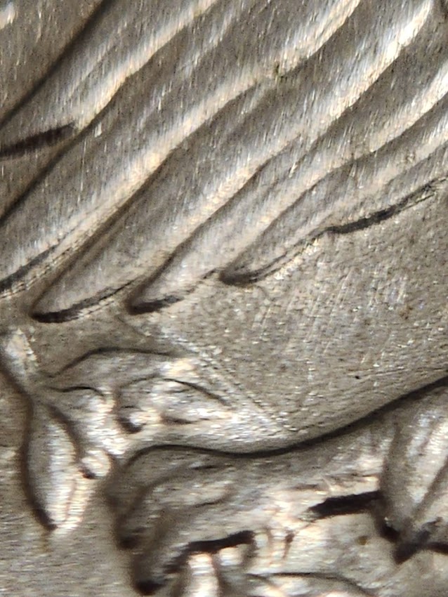 1972-Ike-Dollar.-Possible-Doubling?