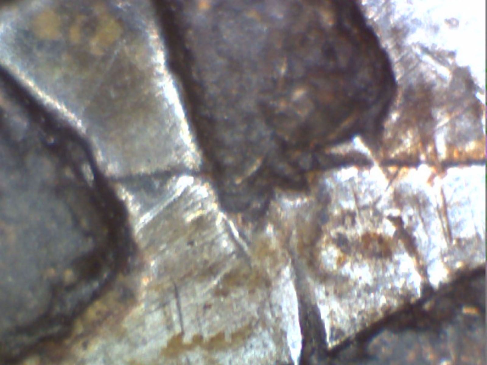 1652-New-England-3-Pence?