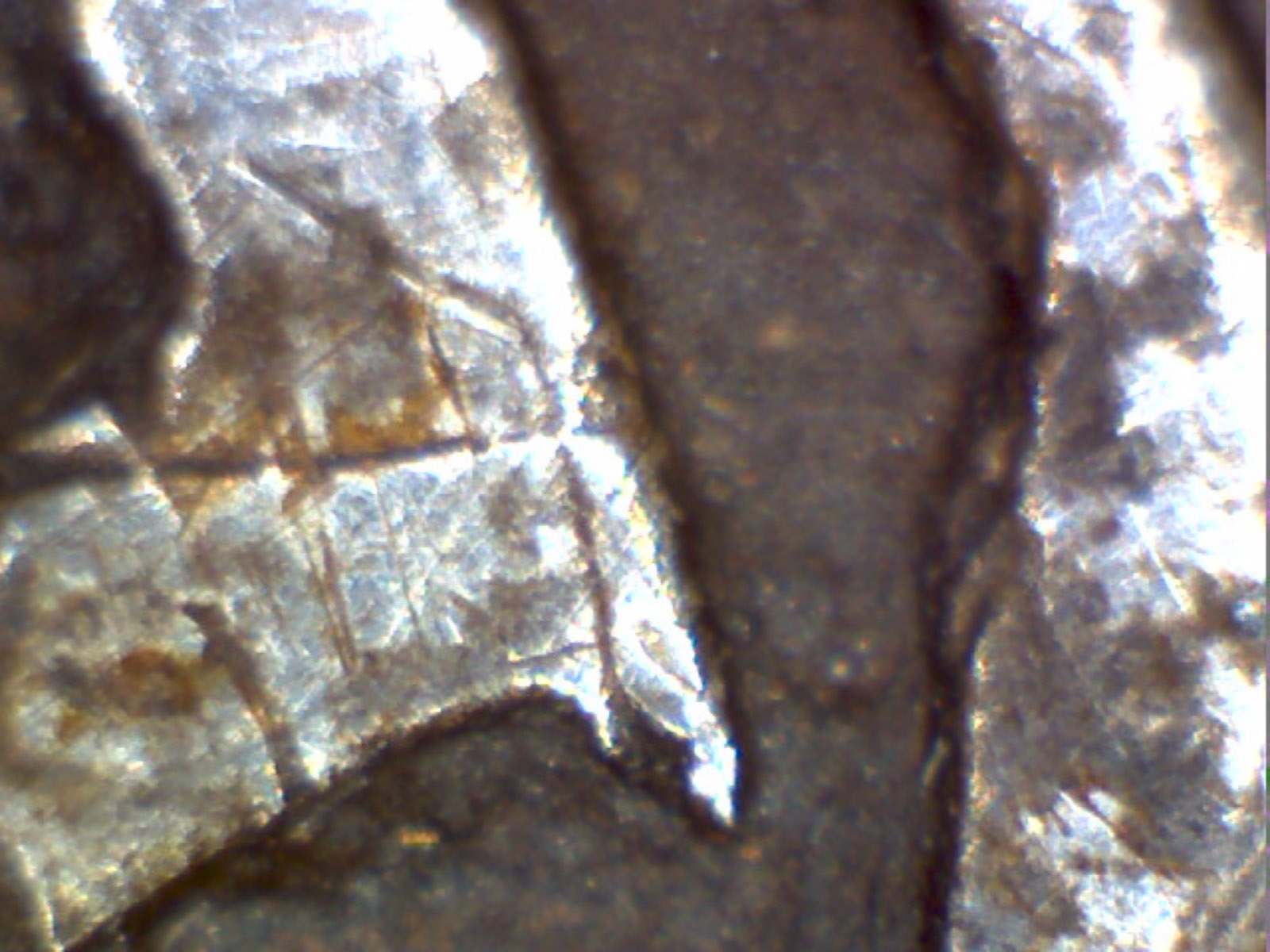 1652-New-England-3-Pence?