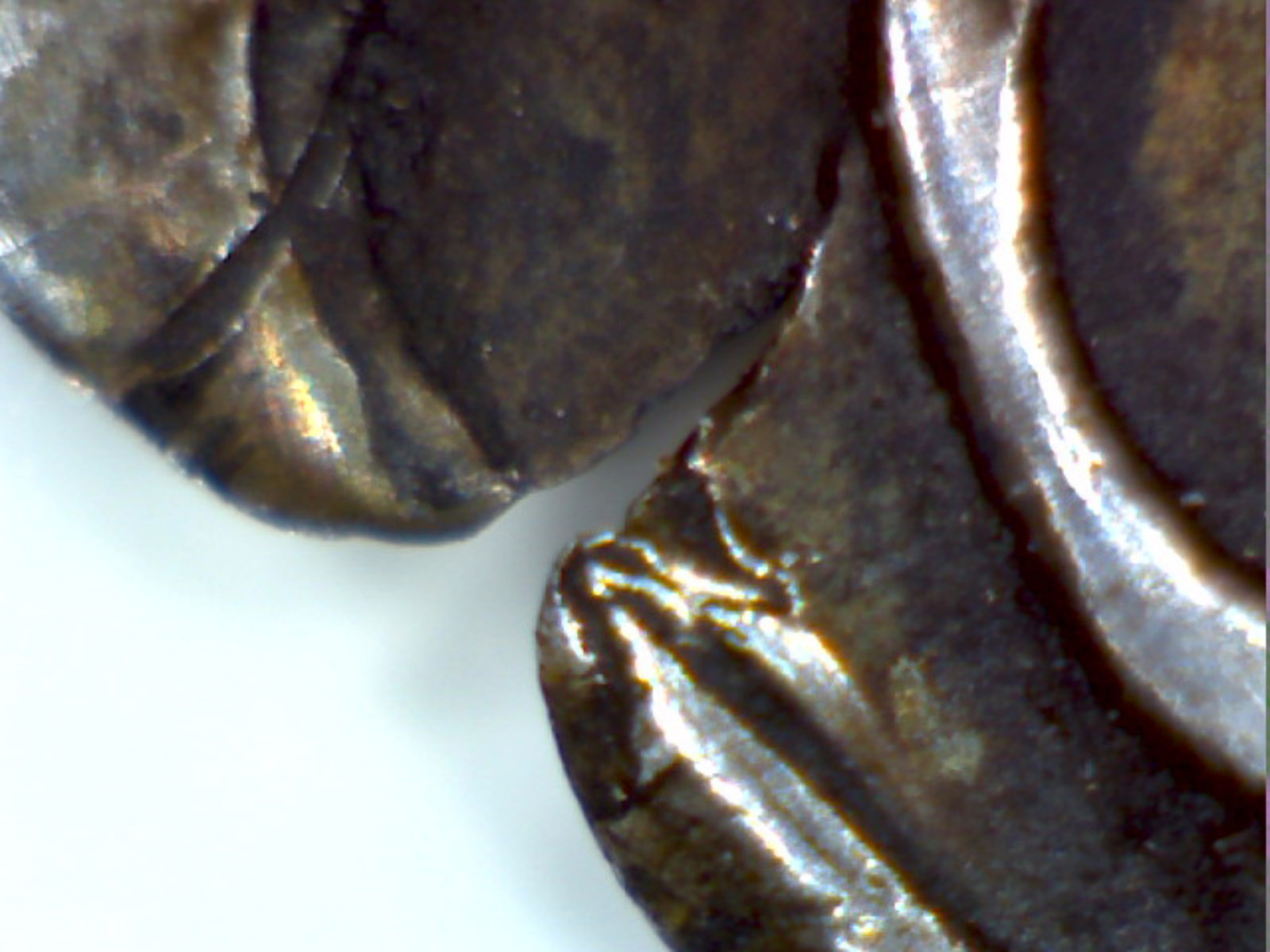 1652-New-England-3-Pence?