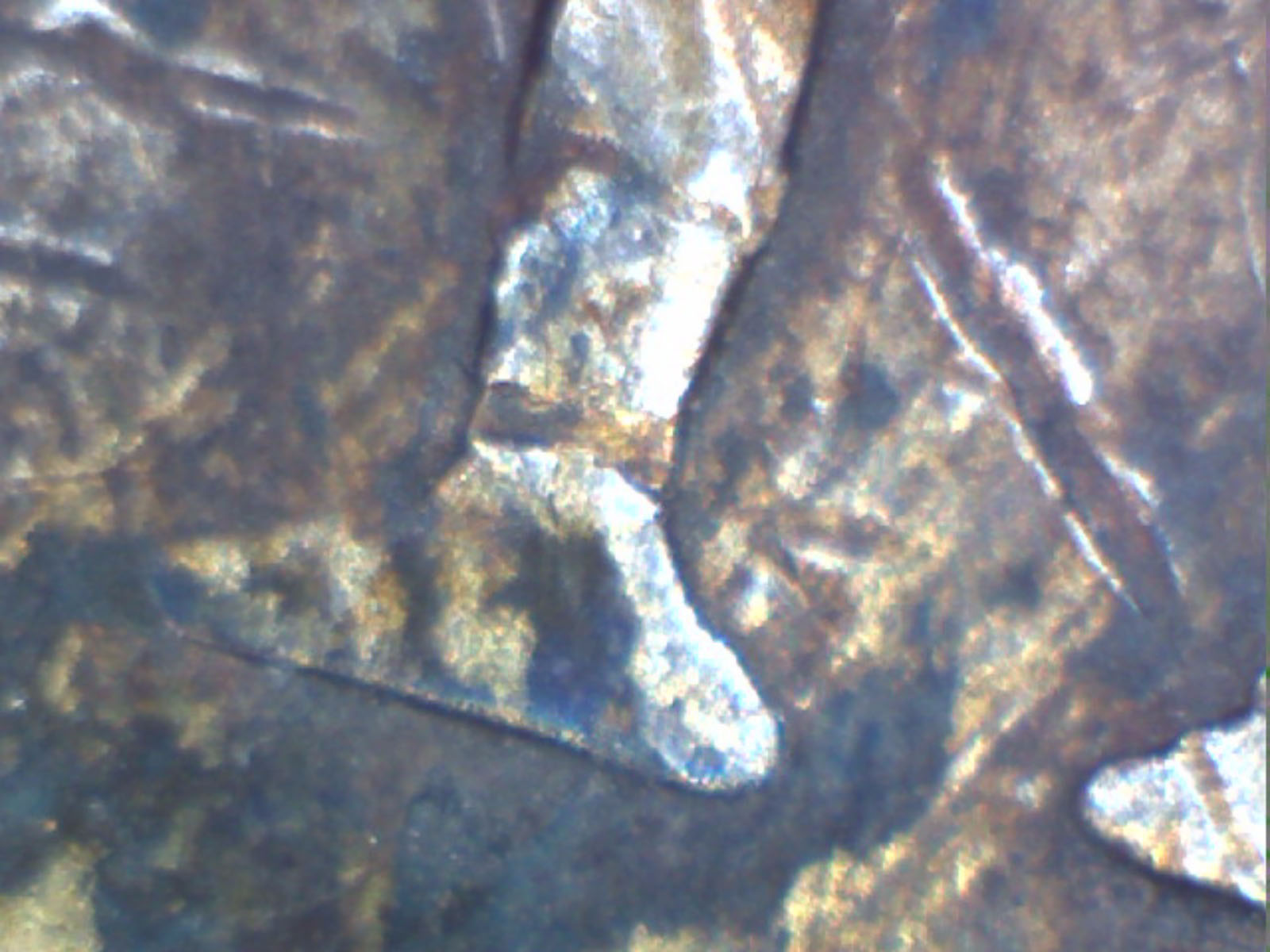 1652-New-England-3-Pence?