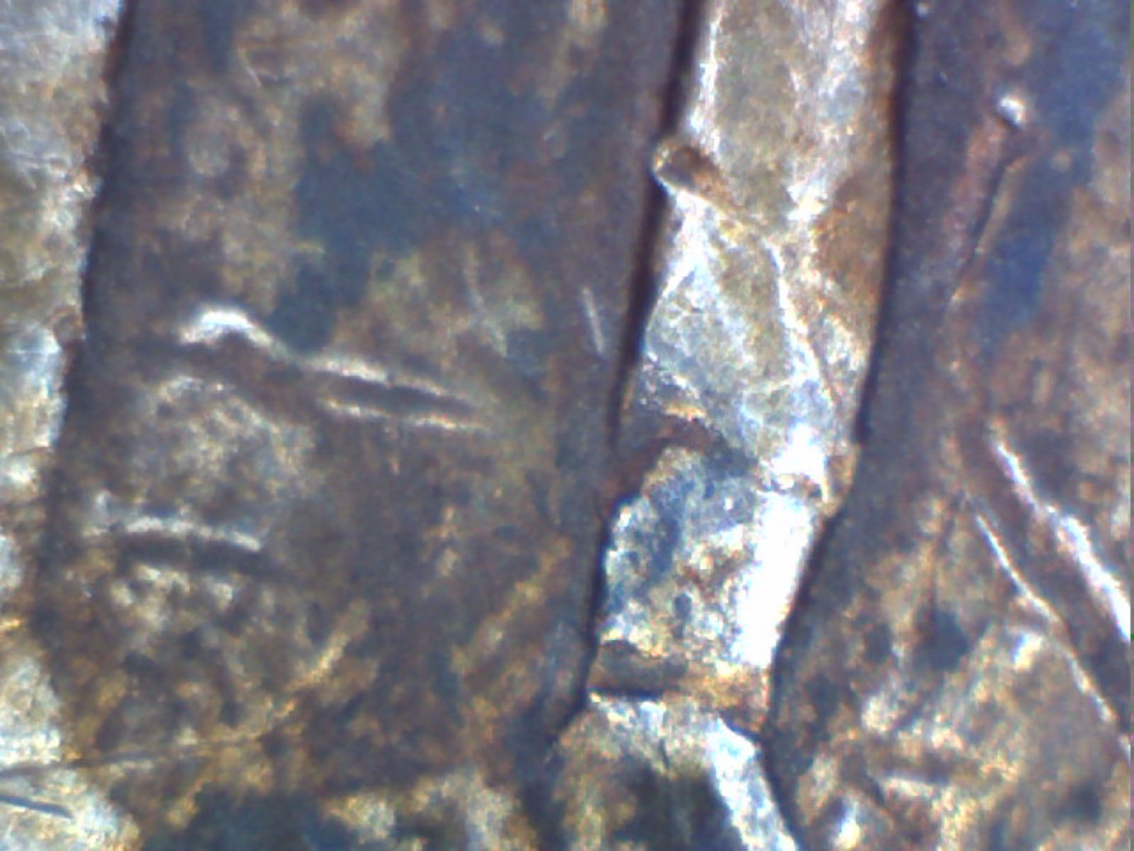 1652-New-England-3-Pence?
