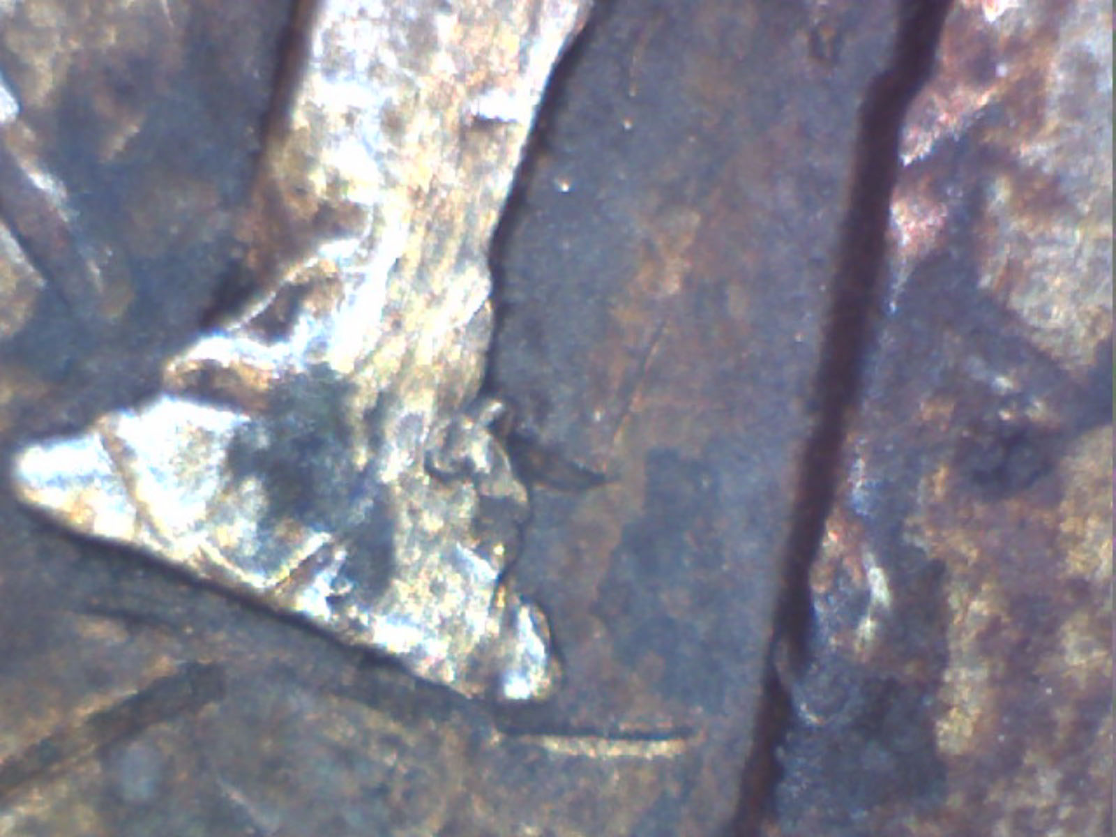 1652-New-England-3-Pence?
