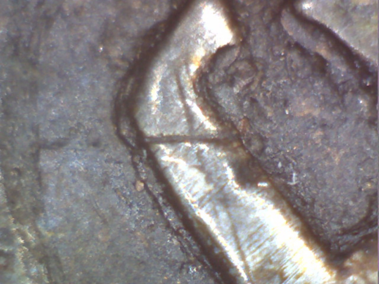 1652-New-England-3-Pence?