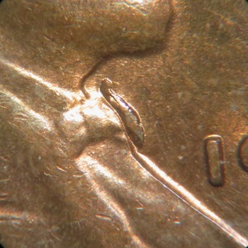 1956-P-LWC-Idb-Lincoln's-Neck