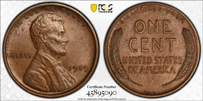 1909-VDB-LWC-DDO-001,-FS-1101