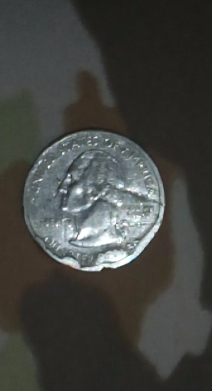 2004-Florida-Washington-Quarter