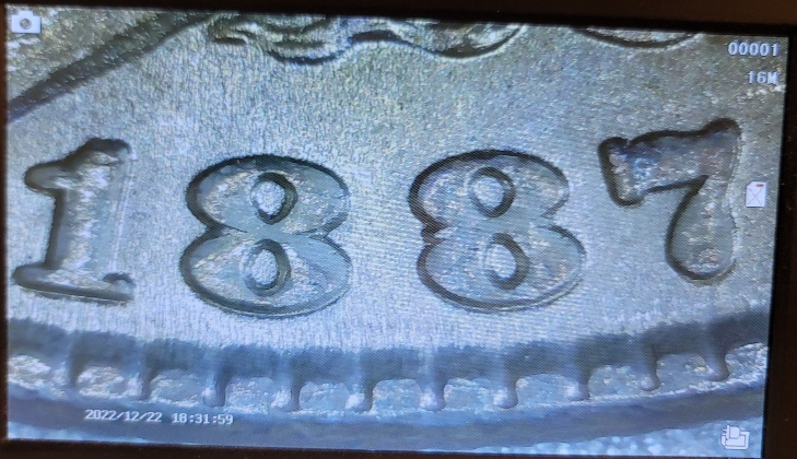 1887-P-Morgan-Help-Identifying-Type-Of-VAM