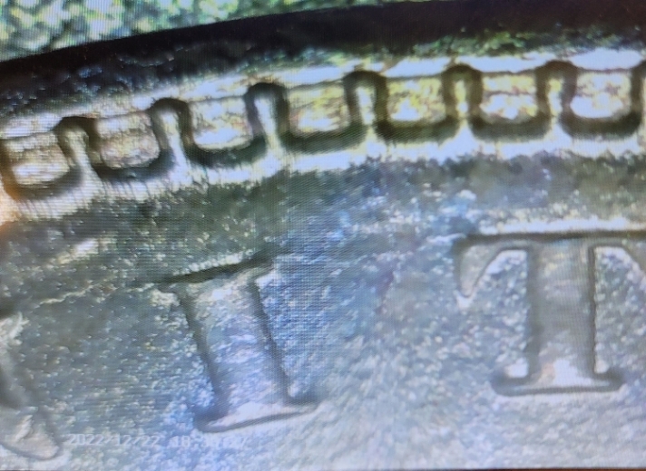 1887-P-Morgan-Help-Identifying-Type-Of-VAM