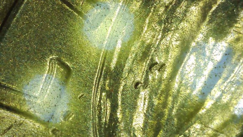 2025-D-Juliette-Gordon-Low-Quarter---Lamination?-Struck-Through?-Other?