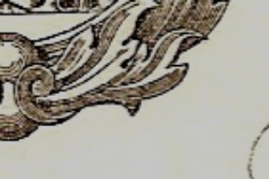 White-English-Banknotes