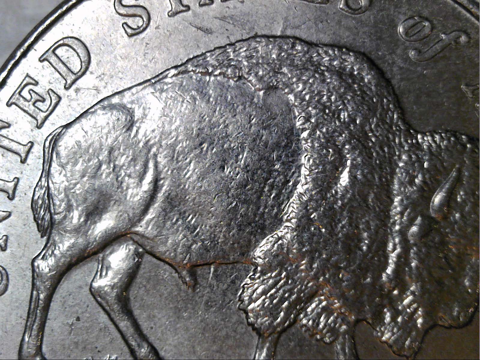 2005-D-Nickel-Speared-Bison-CRH
