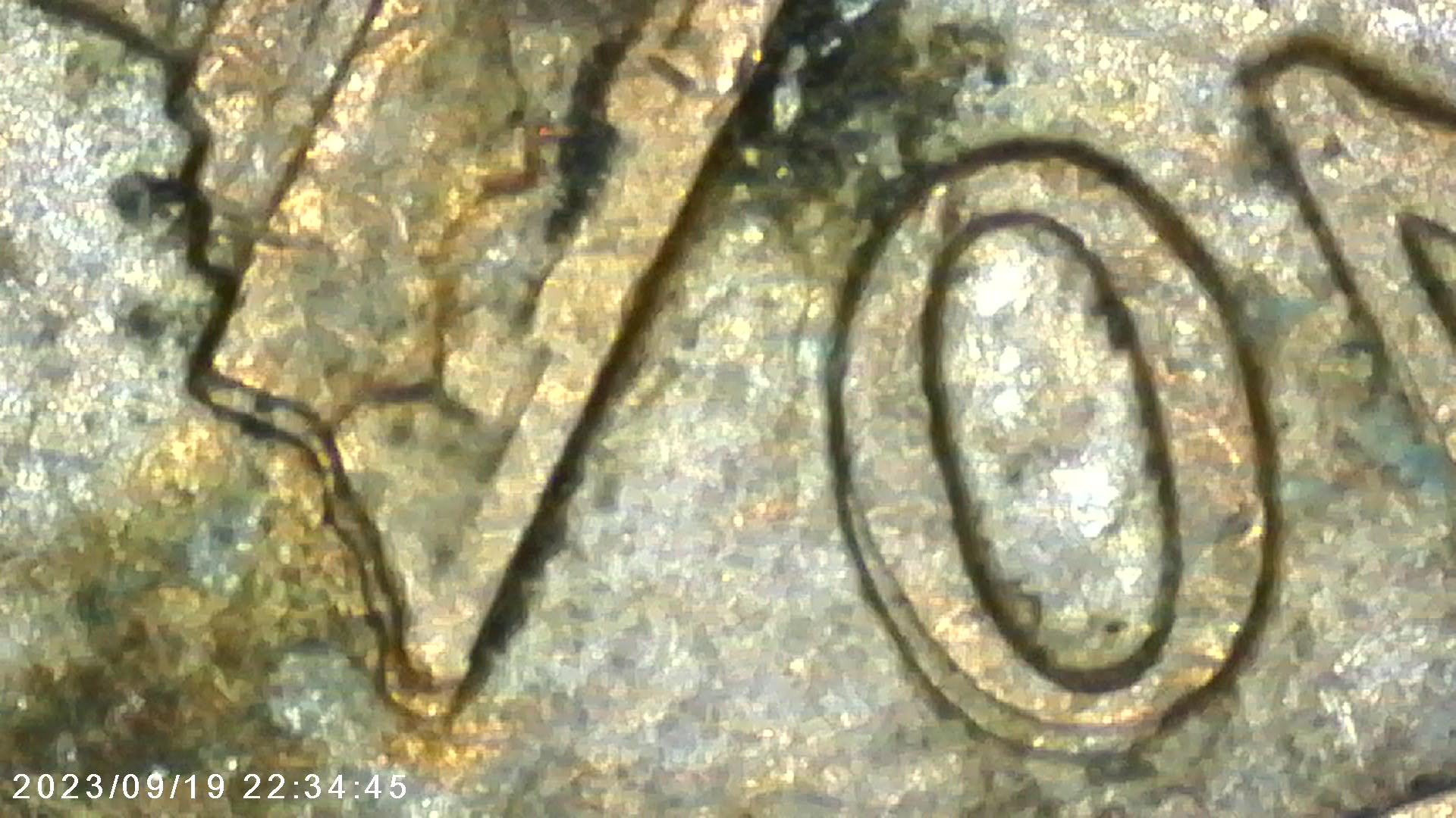 1970--D.-Lincoln-Cent-Doubling?