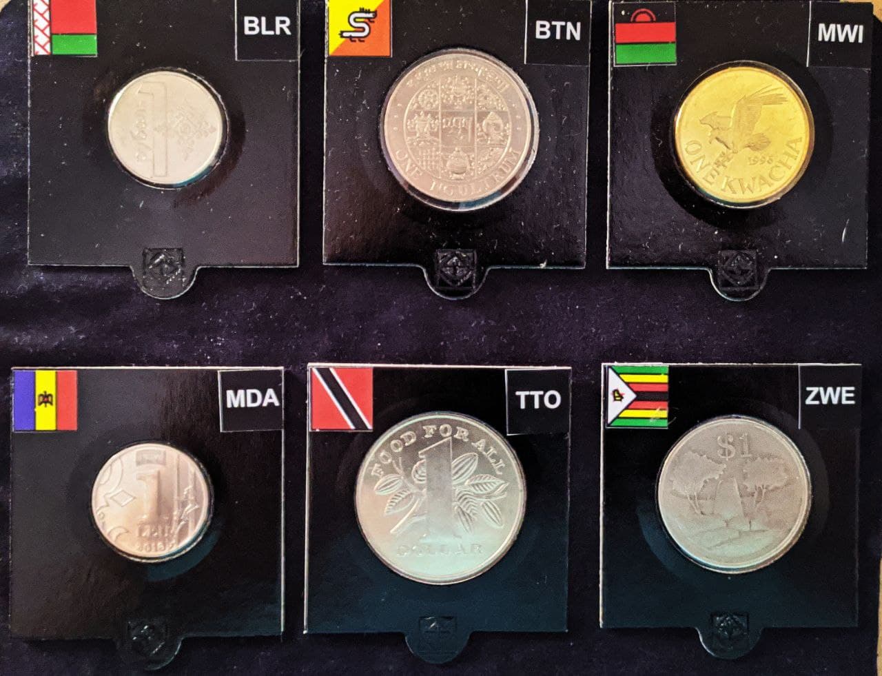 Trying-To-Collect-$1-Coins-From-Around-The-World