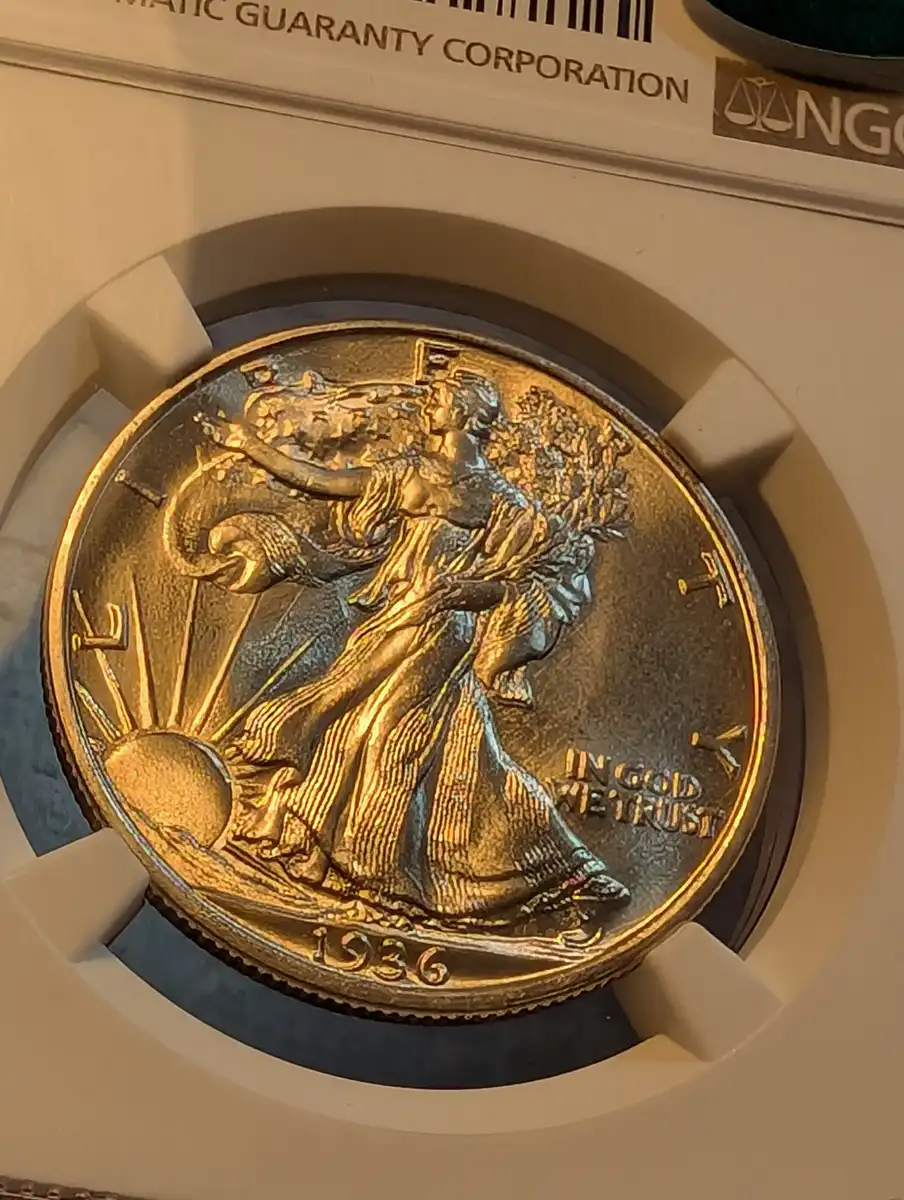 Guess-The-Grade-On-This-1936-P-Walking-Liberty-Half-Dollar-Ngc-Plus-Cac