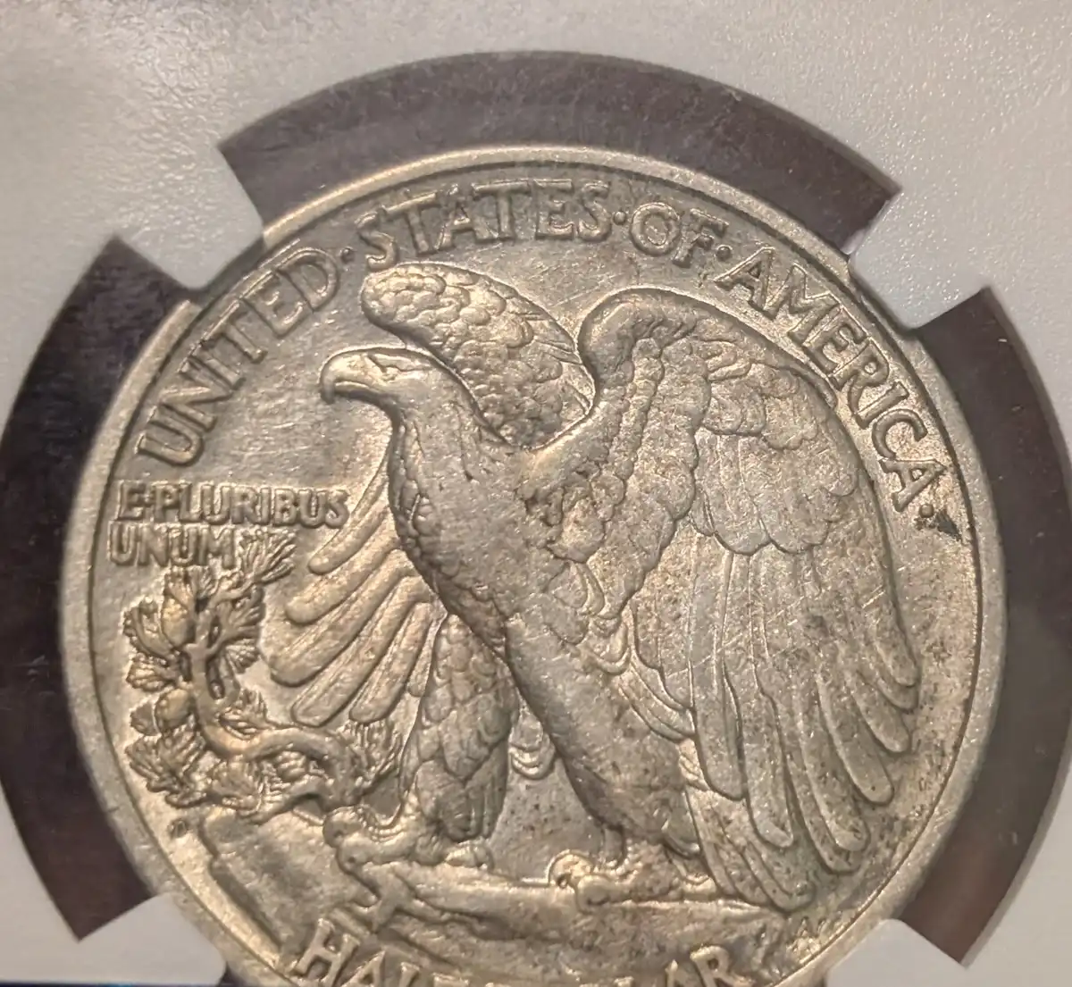 You-Vs-NGC---1920-D-Walking-Liberty-Half-Dollar