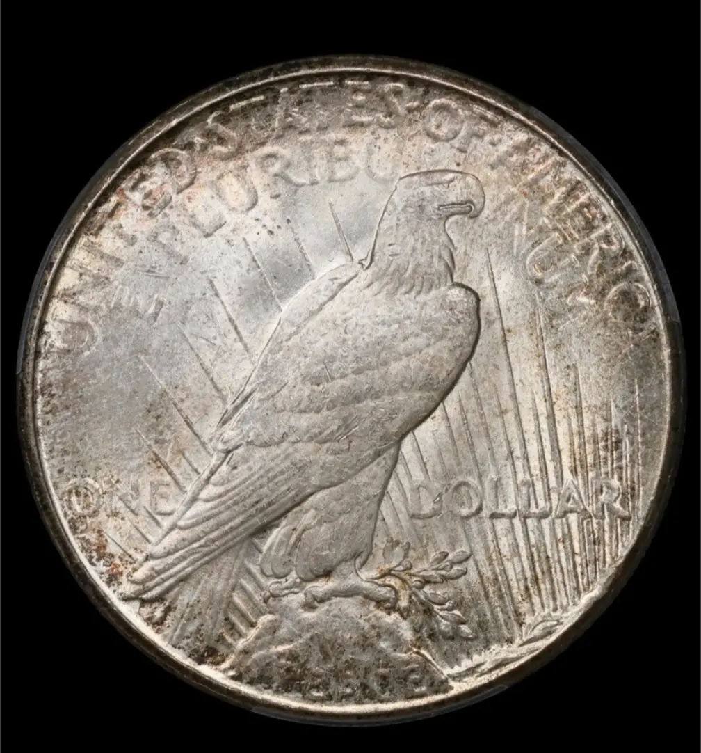 My-Most-Recent-Pickup---Rainbow-Toned-22-S-Peace-Dollar
