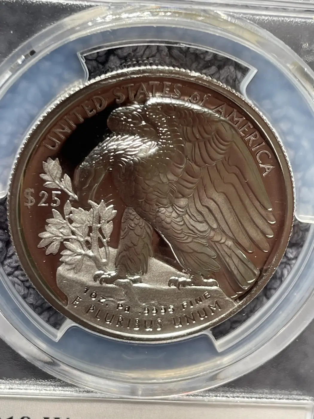 2018-Palladium-Eagle-Error?