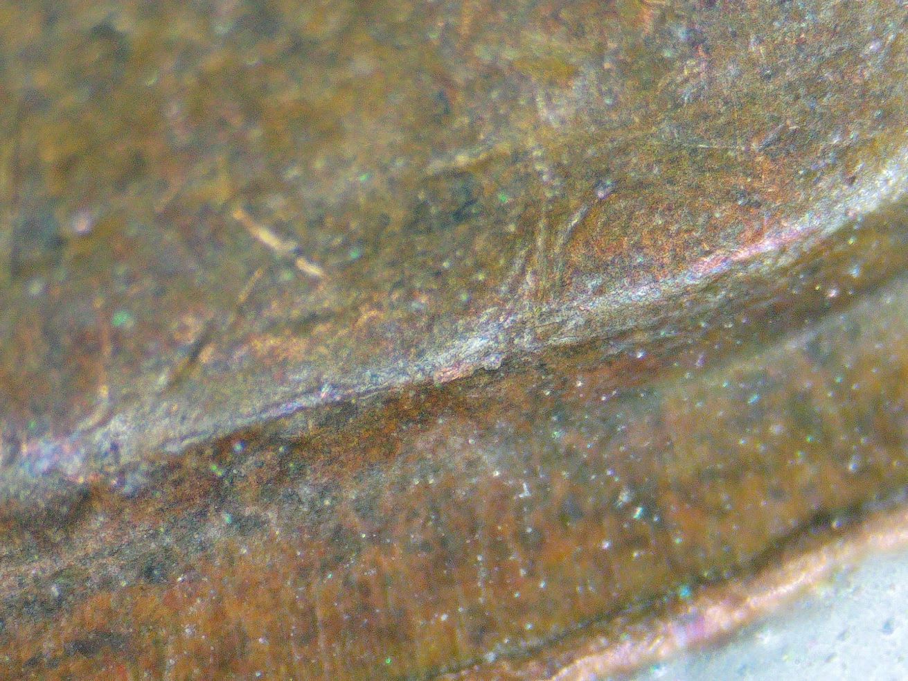 1951-Wheat-Penny-I-Believe-For-Once-I-Have-Found-A-RPM