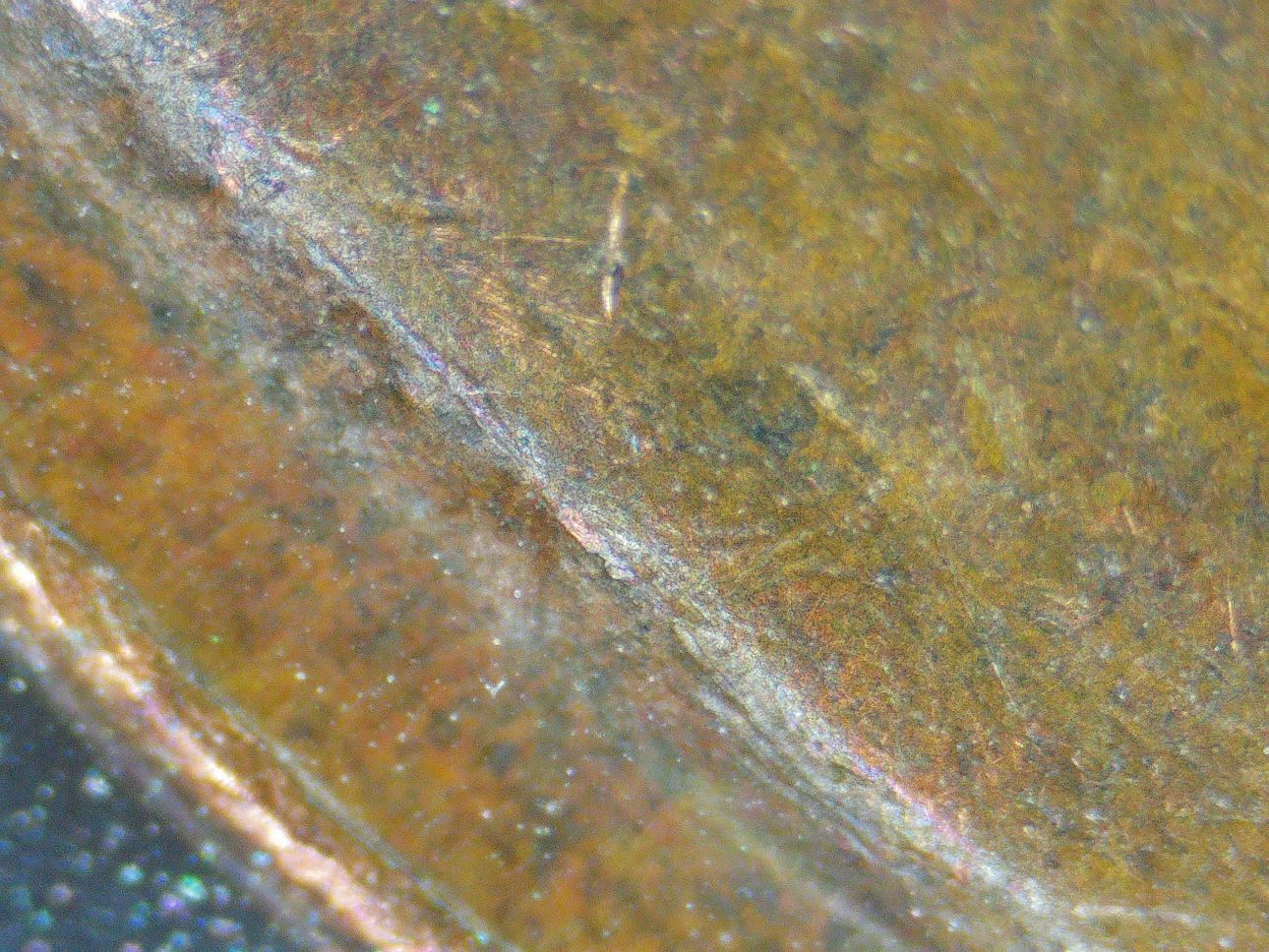 1951-Wheat-Penny-I-Believe-For-Once-I-Have-Found-A-RPM