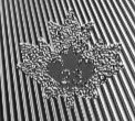 Years-Reigned-On-2023-Maple-Leaf