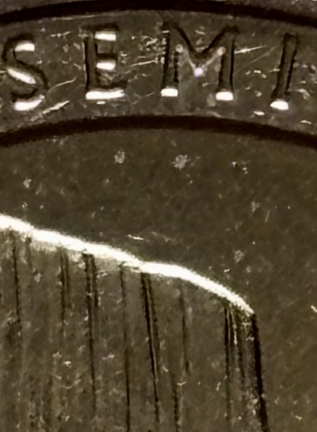 2010-Yosemite-Quarter---Proud-Member-Of-The-Extra-Mountain-Club