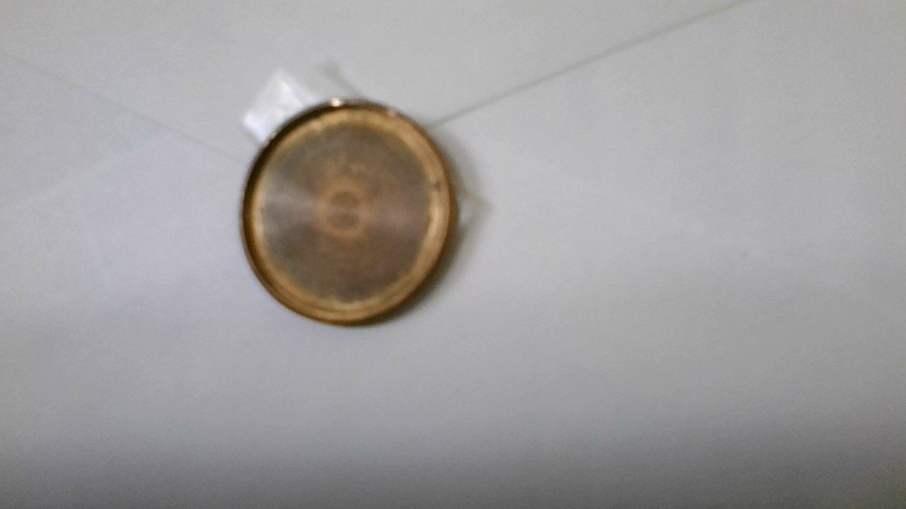 1974-D-Penny-With-N0-Back