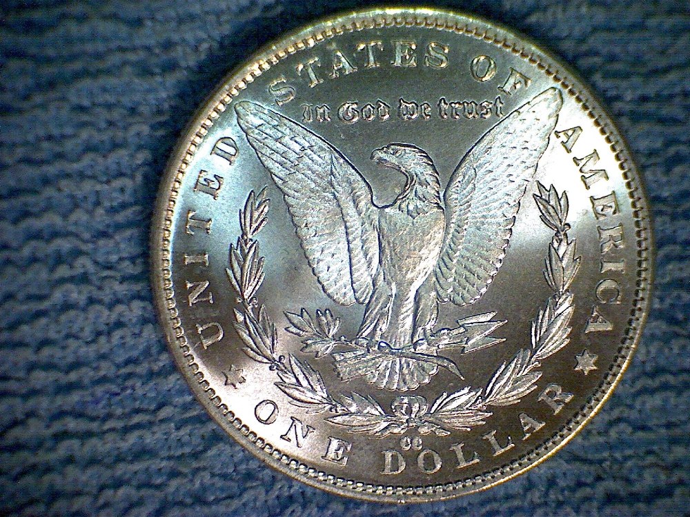 Need-Advice-For-My-Morgan-Dollar-